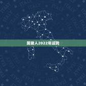 属猪人2022年运势，1971年属猪2021年运势及运程