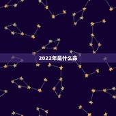 2022年是什么命，2022年不生几月虎