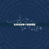 生肖龙和每个属相婚配，属相婚配女的属龙和什么属相最好
