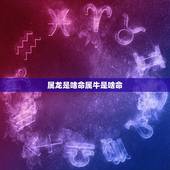 属龙是啥命属牛是啥命，属龙的适合公司名称