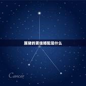 属猪的更佳婚配是什么，猪男更好婚配