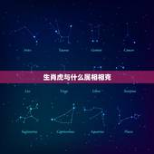 生肖虎与什么属相相克，虎和什么属相相冲