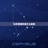 38岁属猪的是什么星座，属龙人是什么星座