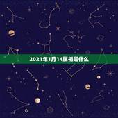 2021年1月14属相是什么，2021年1月份出生的宝宝是什么属相