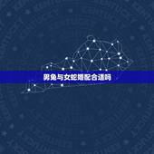 男兔与女蛇婚配合适吗，87年属兔33岁有一劫