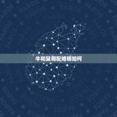 牛和鼠相配婚姻如何，96男鼠97女牛