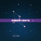 男鼠婚配哪个属相不好，男属鼠的属相婚配表