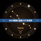 2023属猴人全年12个月运势，属猴2023年运势及运程