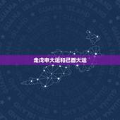走戊申大运和己酉大运，戊申己酉大驿土详解