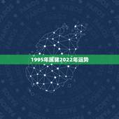 1995年属猪2022年运势，1995年属猪2021年运势女