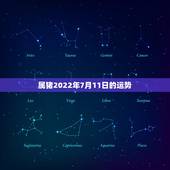 属猪2022年7月11日的运势，7|年属猪男2021年的每月运势？