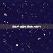 猫和鸡的属相适合做夫妻吗，属鸡的和什么属相配婚最好