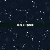 2022是什么属相，2022年是什么生肖