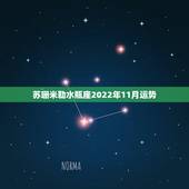 苏珊米勒水瓶座2022年11月运势，苏珊米勒10年11月水瓶运势