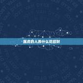 属虎的人养什么花招财，属虎的人养什么花旺财