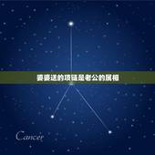 婆婆送的项链是老公的属相，结婚当天新娘属相被婆婆属相冲怎么办？