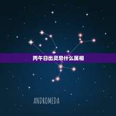 丙午日出灵忌什么属相，女蛇忌什么属相