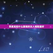 男属龙和什么属相的女人相配最好，属相婚配：男属龙和女属猪相配吗