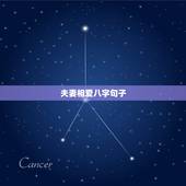 夫妻相爱八字句子，夫妻相爱的名言名句