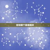 蛇和哪个属相相冲，与蛇相冲的属相是什么