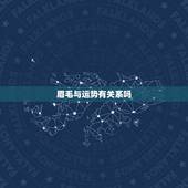 眉毛与运势有关系吗，眉毛与财运到底有多大的关系呢