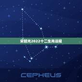 宋韶光2022十二生肖运程 2022生肖全年运势大全