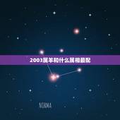 2003属羊和什么属相最配，2003属羊的2022 年运气