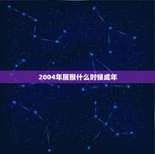 2004年属猴什么时候成年，2004年属相