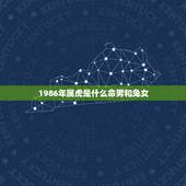 1986年属虎是什么命男和兔女，2013年属蛇是什么命
