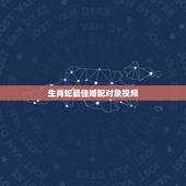 生肖蛇最佳婚配对象视频，蛇的最佳婚配