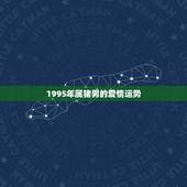 1995年属猪男的爱情运势，1995属猪的命运与婚姻