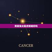 男属兔女属虎婚姻好吗，女属虎和男属兔的合不合婚