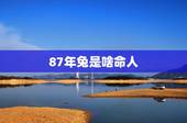 87年兔是啥命人，兔年正月出生的人命运