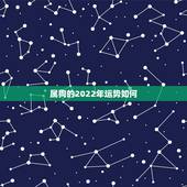 属狗的2022年运势如何，2021年属狗人的全年运势