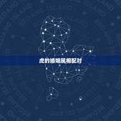 虎的婚姻属相配对 十二生肖最佳配对表格