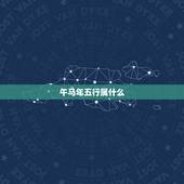 午马年五行属什么，癸酉年五行属什么