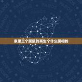 家里三个属鼠的再生个什么属相的，属鼠的家里禁忌摆放什么属相 这些属相要