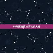 95年属猪的27岁大灾大难，1995年属猪女2022年有牢狱之灾么