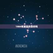 1984年属鼠的命好吗，1983年属猪的是什么命