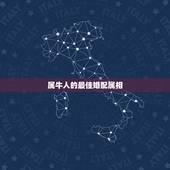 属牛人的最佳婚配属相，男属牛的和什么属相相配最佳 &amp;#8211; 百度·