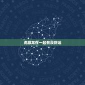 虎跟龙在一起有没财运，属虎和属龙合伙做生意