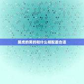 属虎的男的和什么相配最合适，属虎男和什么属相最配