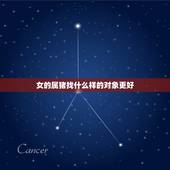 女的属猪找什么样的对象更好，女猪和什么属相更好