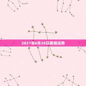 2021年6月20日属相运势，牛年运程2021生肖年运