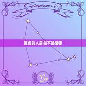 属虎的人命是不是很硬，为什么都说属虎的不好