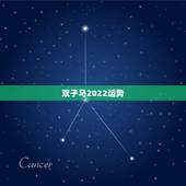 双子马2022运势，双子座到2022年会是怎么样？