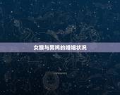 女猴与男鸡的婚姻状况，女猴与男鸡婚配好不好
