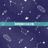 招财树图片大全大图，谁知道发财树和招财树的区别，请附上图片