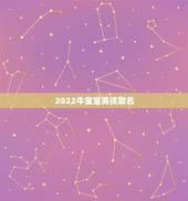 2022牛宝宝男孩取名，2021年牛宝宝男宝名字