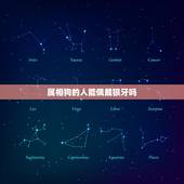 属相狗的人能佩戴狼牙吗，属狗的带狼牙好不好